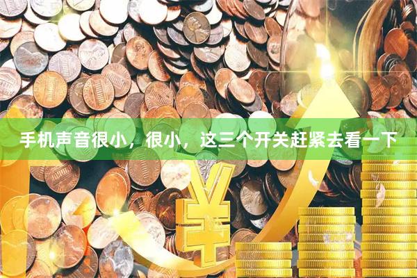 手机声音很小，很小，这三个开关赶紧去看一下