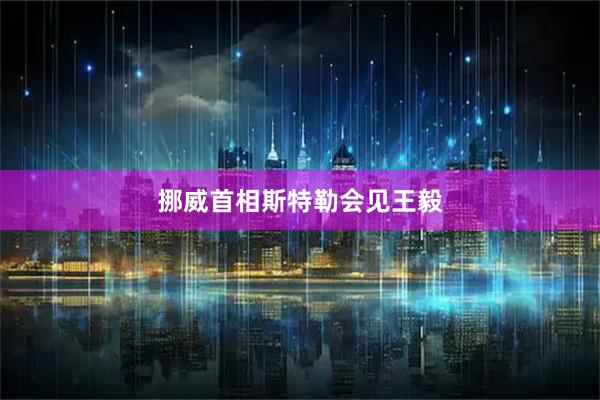挪威首相斯特勒会见王毅